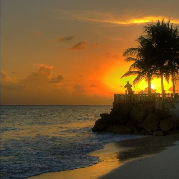 Meet your Posher, Vicky - Picture 2 of 2